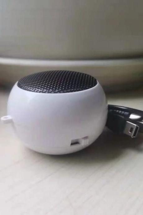 Portable Mini Usb Powered Speaker For Computers