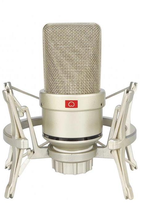 Professional Studio Condenser Microphone With Shock Mount