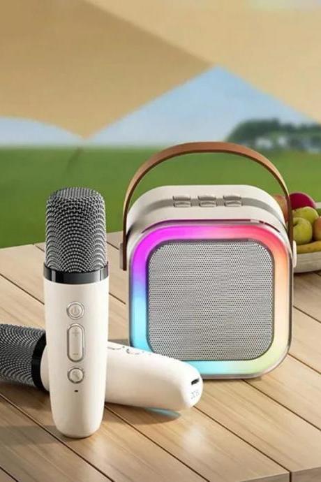 Portable Wireless Microphone And Speaker Combo Set