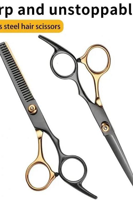 Professional Stainless Steel Hairdressing Scissors Set 2-piece